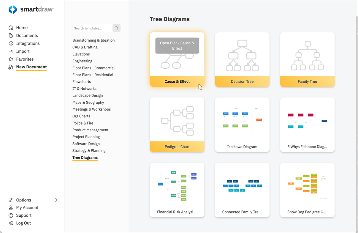 Cause and effect diagram template