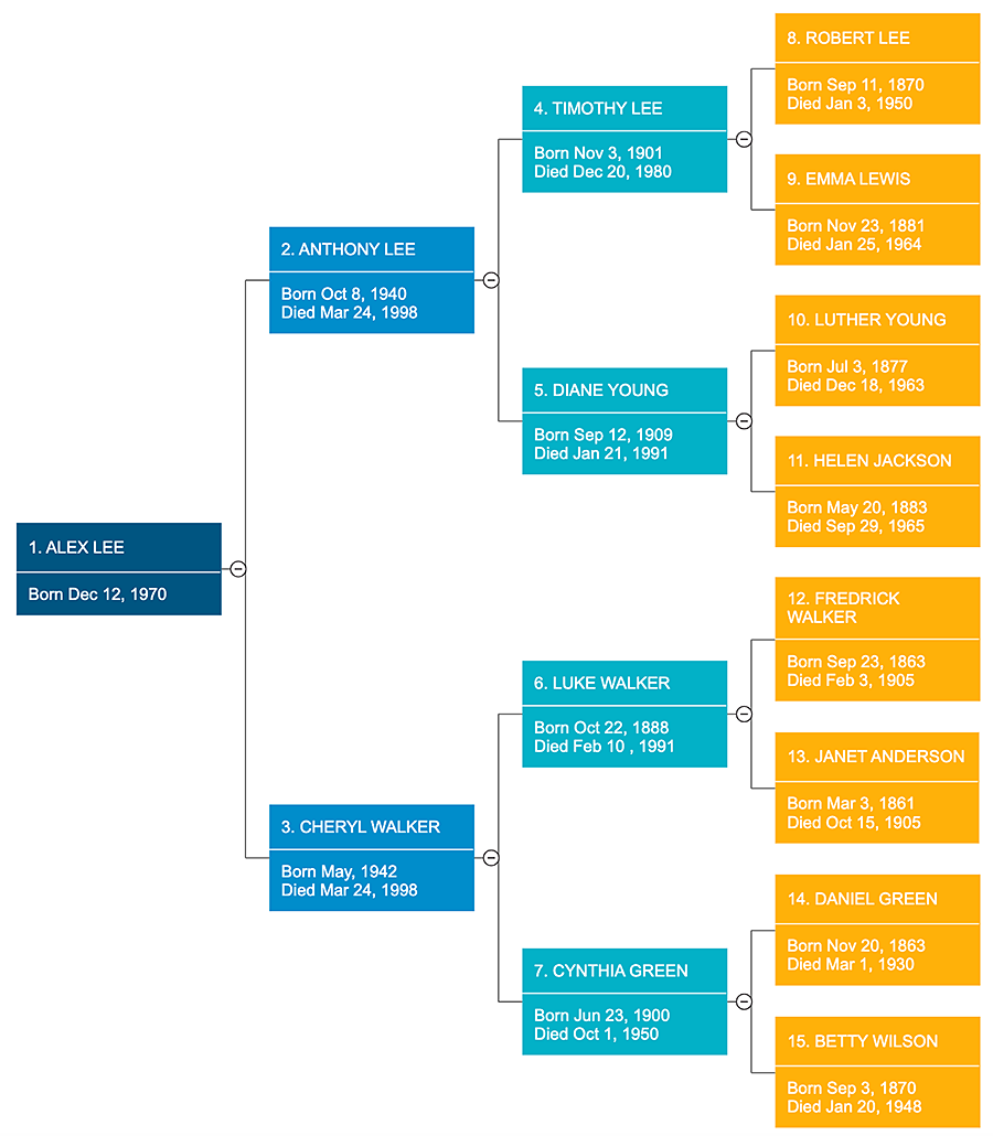 Family Tree - Everything You Need to Know to Make Family Trees