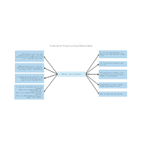 Guidelines for Preparing the Legal Memorandum